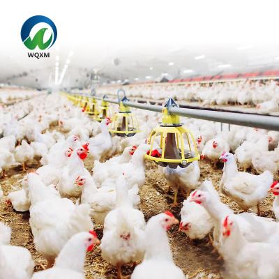 China Poultry or Poultry Farm Home Poultry Chicken Feeder Equipment Full Automatic Broiler Machinery Feeding Line for sale