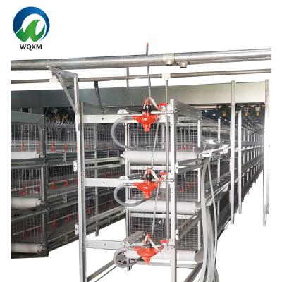 China Farms Fully Automated Poultry Farming Equipment Chicken Cage for sale