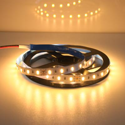 China LANDSCAPE SMD 2835 IP65 LED Strip Light 4w 5w 6w 12V 24V High Quality Waterproof Indoor Flexible LED Strip Park Light for sale