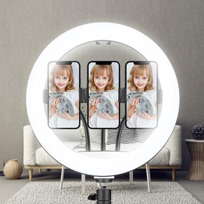 China Photo/Video/Vlog/Live Stream Makeup Visual Photographic 3200-5600K 13 inch Interview Tripod/Youtube Makeup Selfie Led Selfie Ring Light for sale