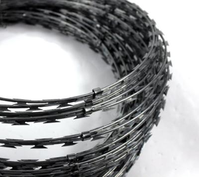 China Hot Dipped Galvanized Concertina Razor Wire , Sun Resistant Coiled Razor Wire for sale