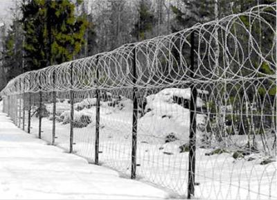 China Single / Double Twisted Razor Barbed Wire Fence  Low Carbon Steel With PVC Coated for sale