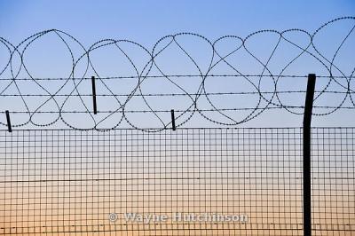 China Welded Stainless Steel Barbed Wire Security Fence For Frontier / Gardens Apartments for sale