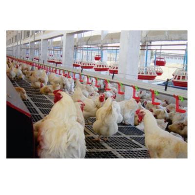 China Farms China Supplier / Layer Frame Broiler Chicken Cage Poultry Farm For Sale for sale