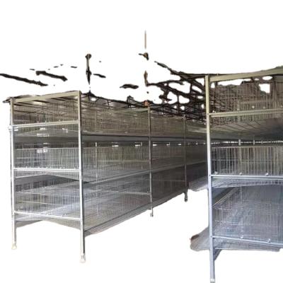 China Save Breed Cost Layer Chicken Cage Poultry Farm For One Type for sale