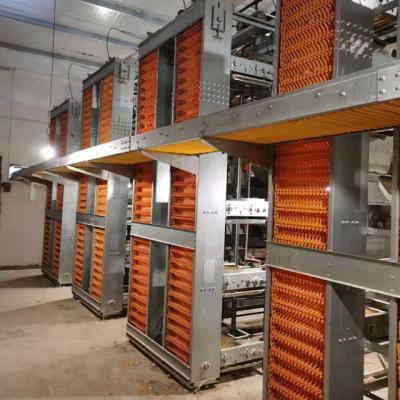 China Save Breed Cost Automatic Cage Broiler Layer Rising Chicken Farm for sale