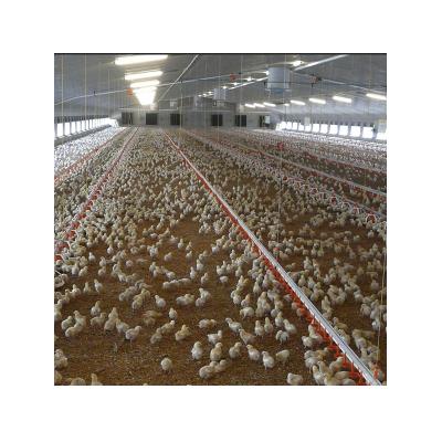 China Broiler 2021 Chicken Farm Poultry Farm Equipment Pan Feeder Chicken House Feeder for sale