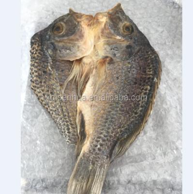 China Dry gutted and measured dried tilapia fish for sale