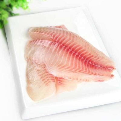 China China FROZEN Organic Frozen Tilapia Bands Wholesale Price for sale