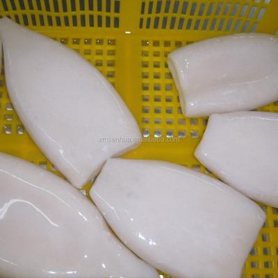 China Frozen Squid IQF Tube Clean Low Salt Frozen Squid for sale