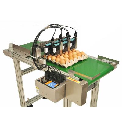 China food & Multilingual Beverage Factory Egg Printer Barcode Printing Machine New for sale