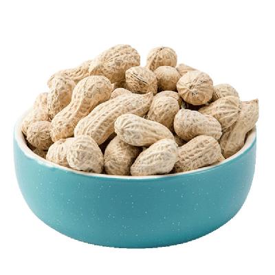 China Peanuts 270g normal crispy for sale