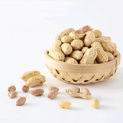 China 320g/Bag Natural Shell Casual Snacks Soft Cookie Flavor Peanut Cookie Peanuts for sale