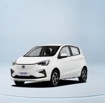 China Benben Estar Changan EV Car Mini Elétrico Pequeno 2023 Hatchback 101km/H à venda