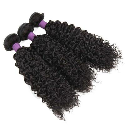 China Jerry Curl Hair Top 10 Selling Wet And Wavy Virgin Malaysian Curly Hair for sale