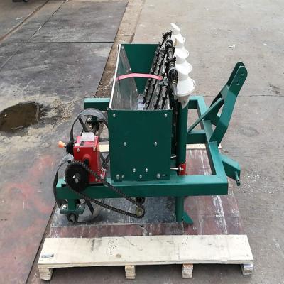 China Garlic 6 lines Self-walking garlic planting machine/garlic seeder/garlic planter for sale