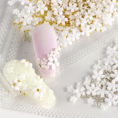 China Popular Nail Tips Designer 3d Mini Resin Acrylic Flowers Decorated Nail Charms Press On Nails Dried Flowers For Nails for sale