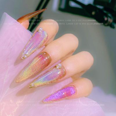 China Nail Art Beauty Your Logo Holographic Magnetic UV Led Gel Rainbow Cat Eye Gel Polish Nail Magnet 9D for sale