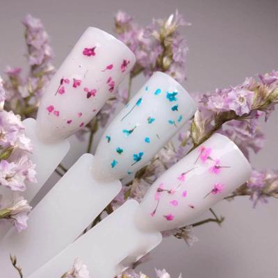 China Nail Art Beauty 5ml Floral Flowers Gel Nail Polish Flower Natural Dry Gel Colored Soak Off Other Nail Paint Gel Color Set for sale