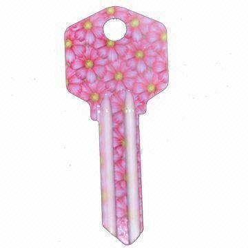 China Regular Size Custom Painted Key Blanks UL050 Brass Material OEM Service for sale