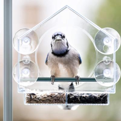 China Modern Clear Acrylic Enjoy Watching Window Bird Feeder With Suction Cups For Outdoors for sale