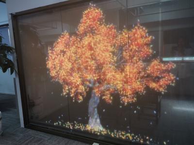 中国 RGB Color LED Transparent Screen Outdoor Transparent LED Display For Shop Windows 販売のため