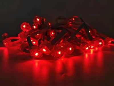 中国 12V クリスマス カラフル アウトドア RGB ピクセル LED アウトドアポイント LEDライト キット 販売のため