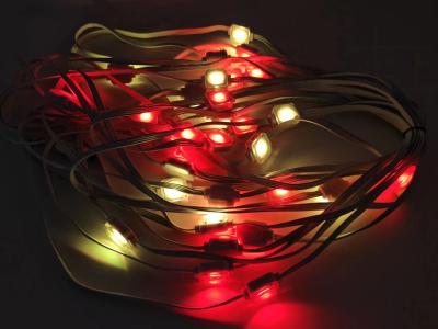 China Christmas Colorful Pixel LED Lights For House Eaves 12V 20MM Decorative Lamp zu verkaufen