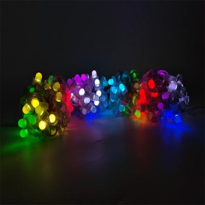 China Waterproof IP68 12V Outdoor RGB full color 12mm pixel led light christmas decoration Lighting Point Lights for sale