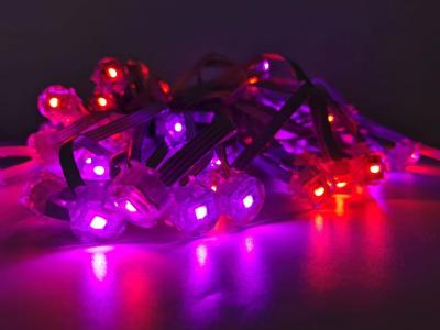 中国 クリスマス 屋外装飾灯 12 ウォルト RGB IC LED IP67 防水 恒久 休日 屋外 窓灯 販売のため