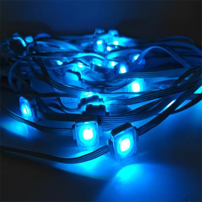 China Holiday Christmas Outdoor 25MM 1.5W Waterproof Permanent Outdoor Lights Rgb Permanent Outdoor Rgb Eaves Light for sale