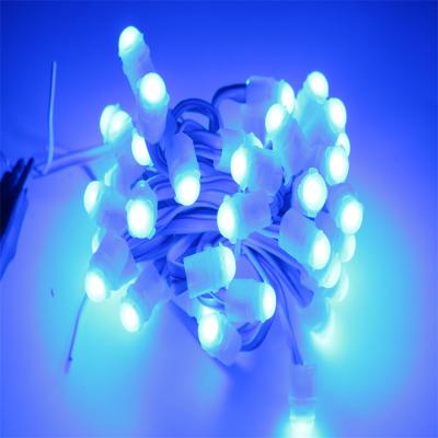 中国 単色 LED ピクセルライト DC12V 9MM 0.2W 広告サインボードライト LEDメーカー 販売のため