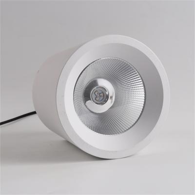 China Control de voz de APP inteligente 20W RGBW Retrofit luces de techo recubiertas apagables luz de abajo LED en venta