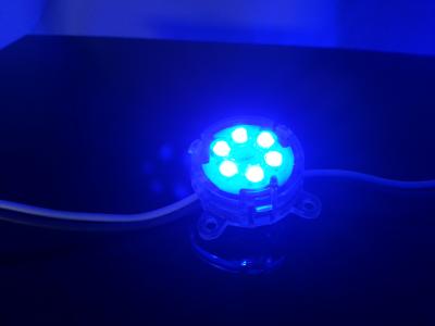 中国 DC 24V RGB LED の 看板、12mm LED ピクセルのためのフル カラー LED ピクセル ライト 販売のため