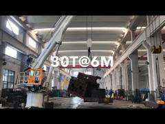 10M Telescopic Boom 2T Steel Offshore Pedestal Cranes