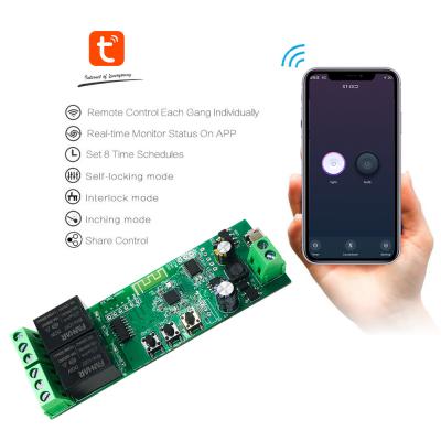 China Smart Home 2Gang WiFi Switch 2CH Tuya Smart Wireless DIY APP Module Switch Remote Control Relay Work With Alexa Google TY8600064-2 for sale