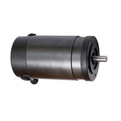 China Best selling products totally enclosed in Philippines high efficiency 4000rpm dc motor 12v 100w for sale