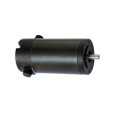 China Totally Enclosed Chinese Manufacturer 24v 1000RPM Low Speed ​​DC 12v Brushed Gear Motor For EV for sale