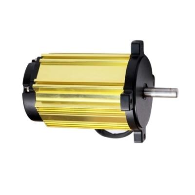 China China 28v 700w Low Speed ​​DC Brushless Motor Generator Totally Enclosed Novelties Goods for sale