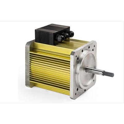 China New Products Totally Enclosed China High Torque 72v 5000 Watt Brushless Dc Motor For Electric Golf Cart for sale