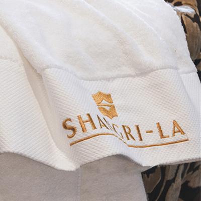 China Alibaba Compressed Money and Quality Assurance Hooded Bath Towel for sale