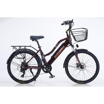 China Multifunctional Woman Electric Bike 48V 1000w Mountainbike Mountain Bike for sale