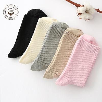 China Dropshipping QUICK DRY China Manufacturer Excellent Quality Cheap Women's Socks Anti Chafing All Cotton Socks for sale