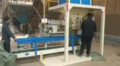 Cina 25kg il Bagger Sewing Machine Open dice l'attrezzatura ausiliaria tessuta di carta in vendita