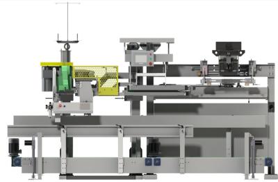 Chine Semi automatique machine à ensacher le remplissage automatique de sac et le manuel piquant de machine à vendre