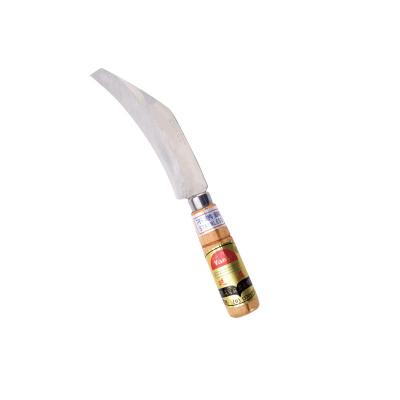 China Exquisite Workmanship Curve Non-variable Stainless Steel Blade Fruit Decorating Knife for sale