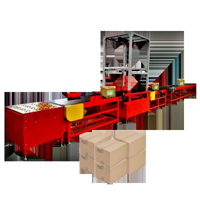 China High Automation in Warehousing Senad in-motion DWS System Dimensioning Weighing Scan Sorter Exported USA for sale