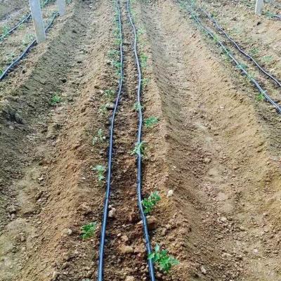 China Israel Plastic Drip Irrigation System for sale