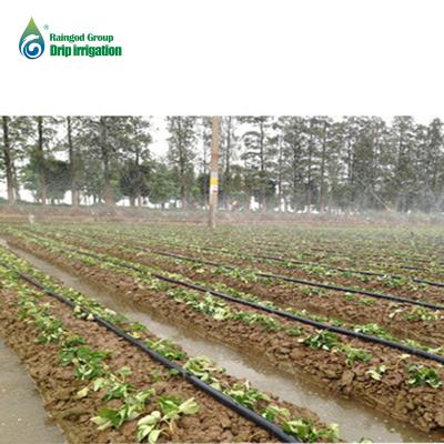 China Caoping Shrub Greenhouse Garden Coil Spray Rain Watering Saving Micro Hose for sale