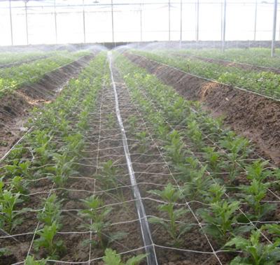 China Plastic Spray Tape Drip Irrigation For Farm for sale